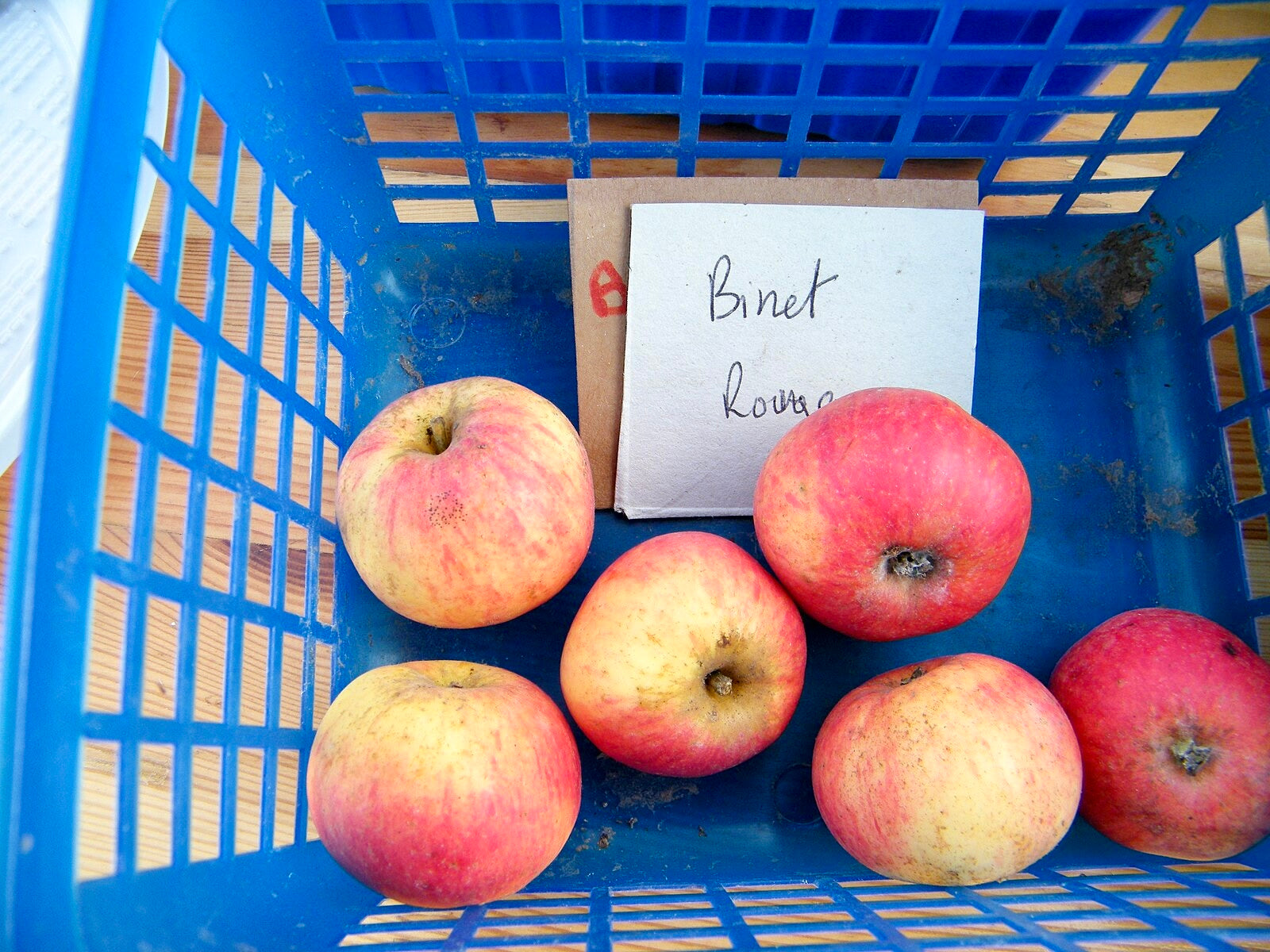 Binet Rouge Apple