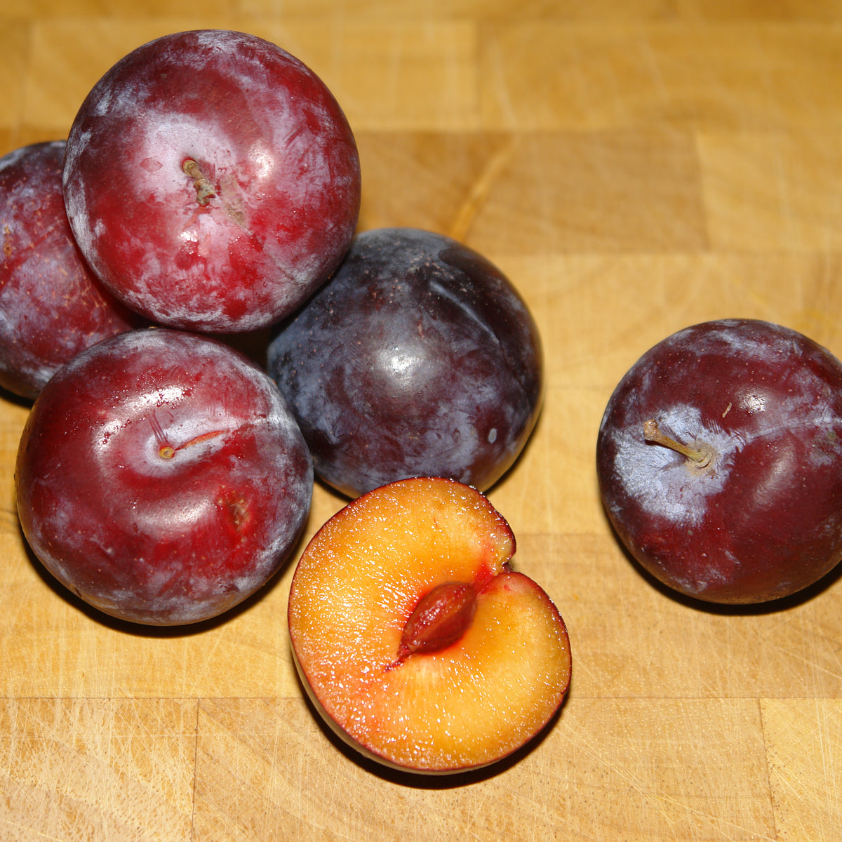 Kahinta Plum (Spring 2027)