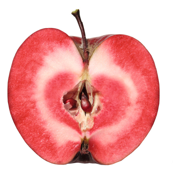 Representative photo of a red-fleshed apple cut in half, not Dolores River Sorbet itself