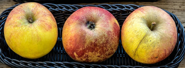 Three Karmijn de Sonnaville apples in a basket, red-orange over yellow with russet