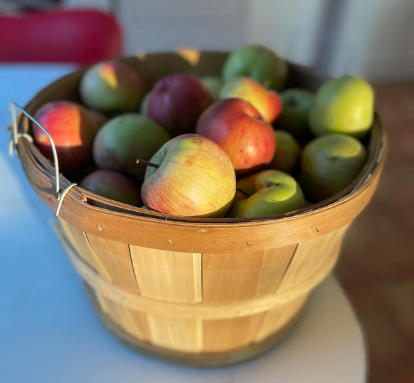 Northern Spy Apple (Spring 2027)