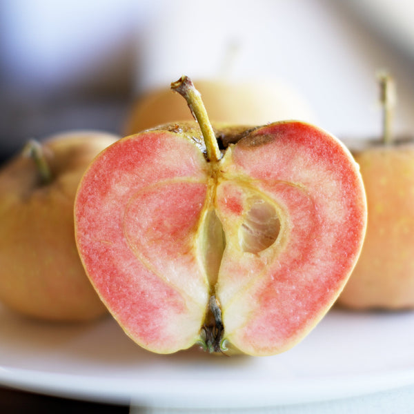 A Pink Pearl apple cut open to show its pink flesh, the parent of Pink Princess