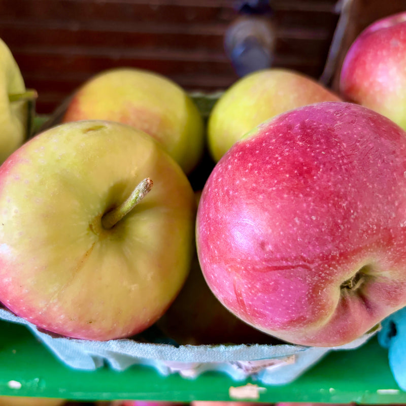 Apples