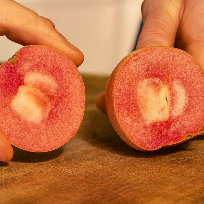 Red-Fleshed Apple Trees