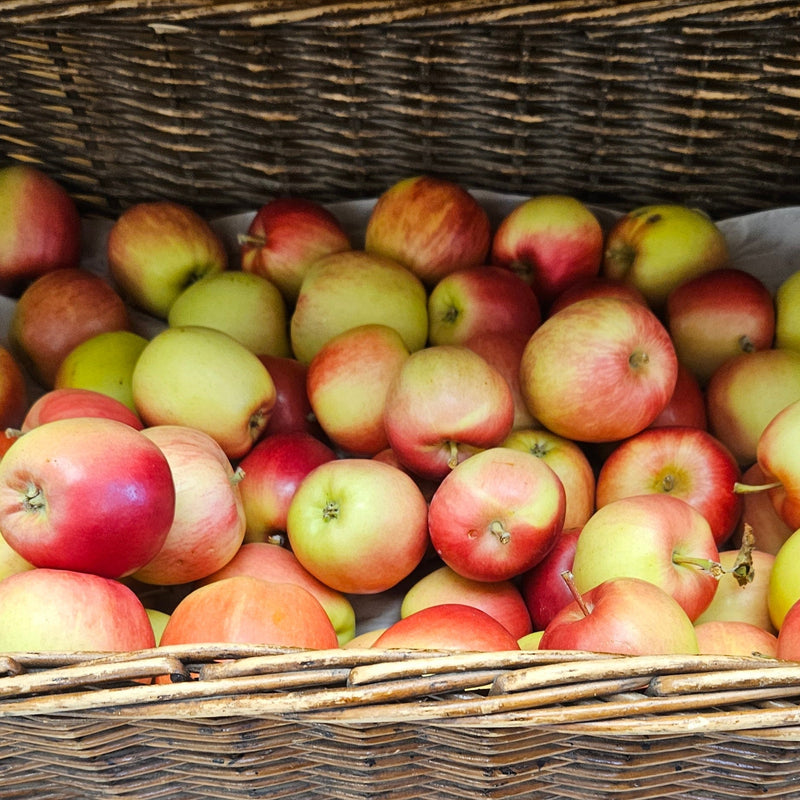 Zone 3 Apple Trees