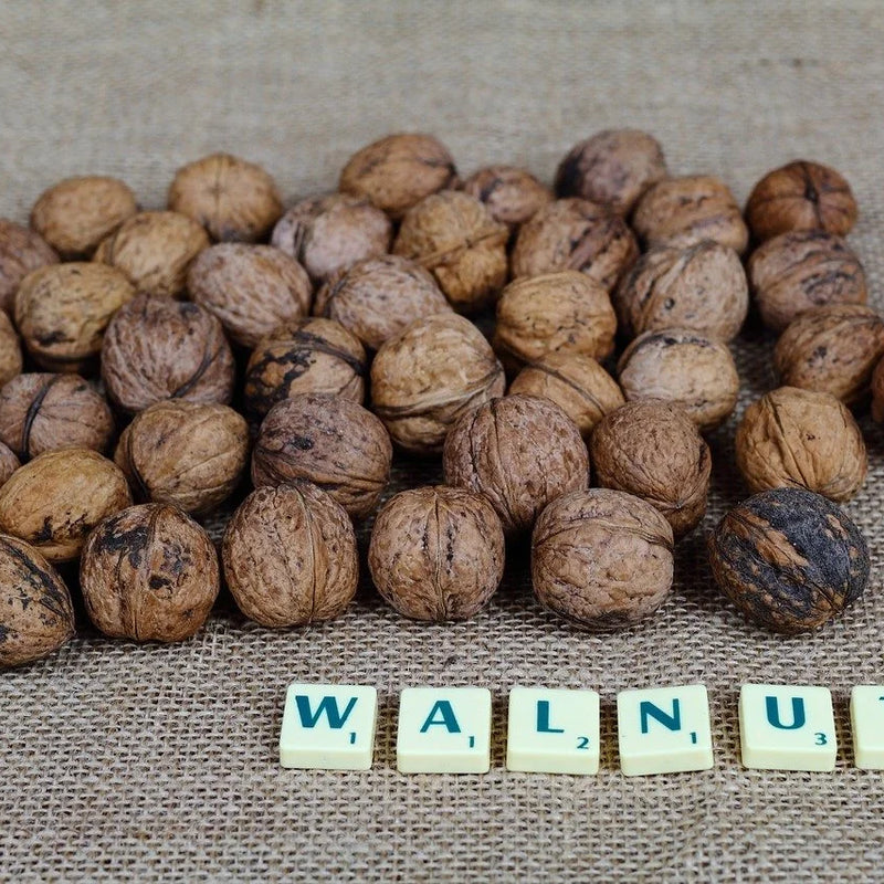 Edible Nuts