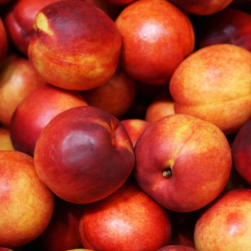 Early-Blooming Peaches