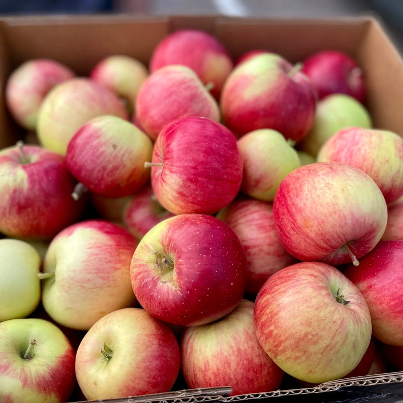 Late-Blooming Apples