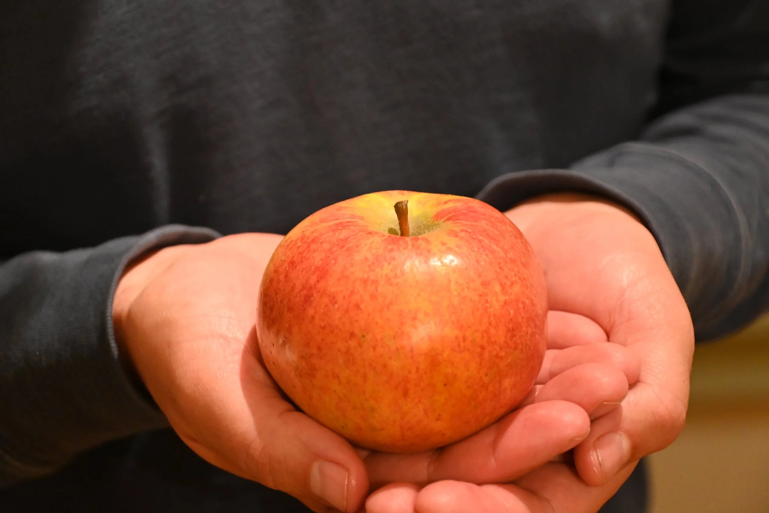 Ribston Pippin Cider Apple