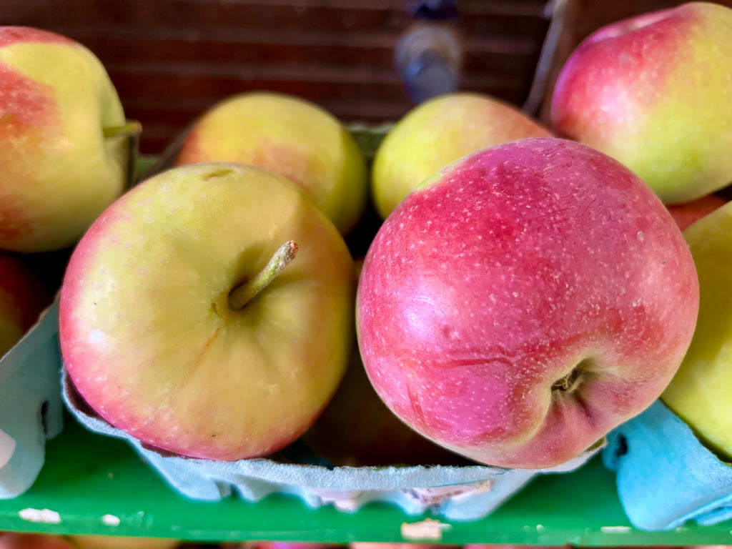 Paula Red Apple