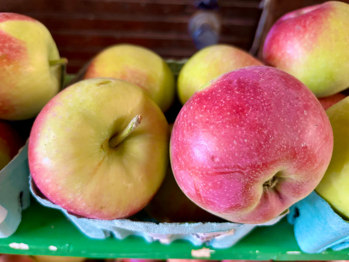 Paula Red Apple