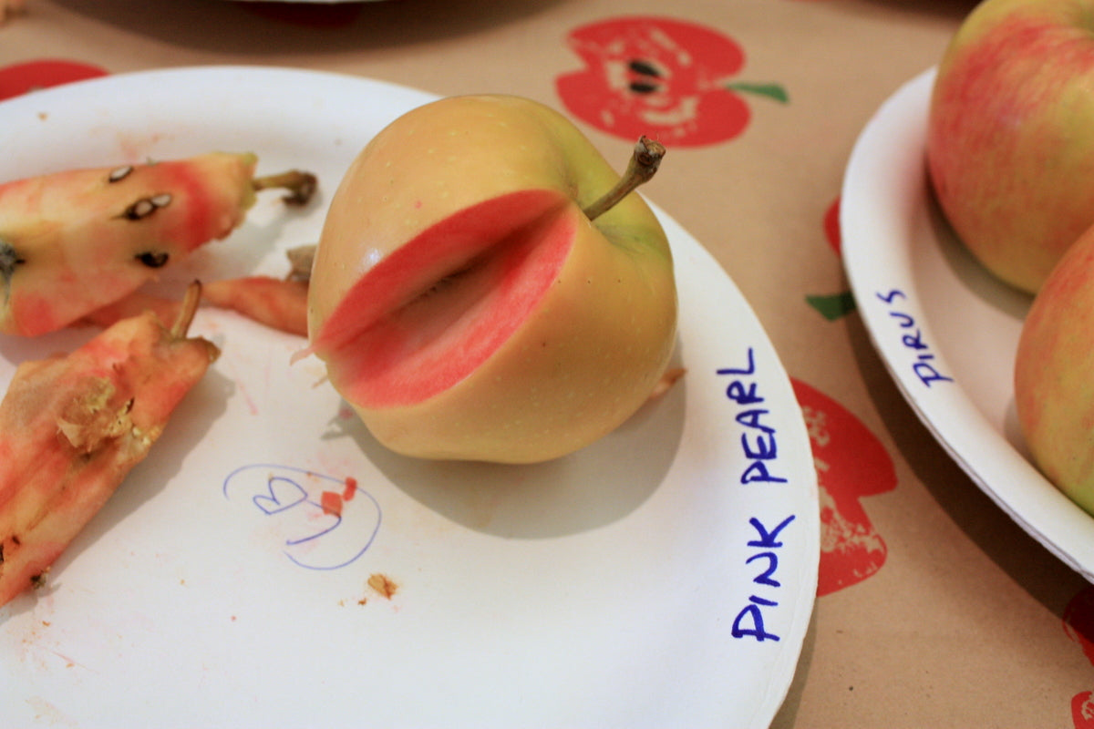 Pink Pearl Apple