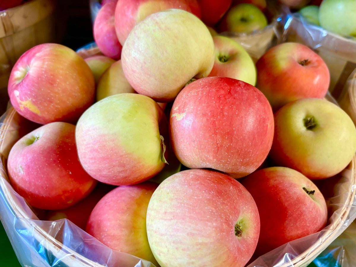 Zestar!® Apple