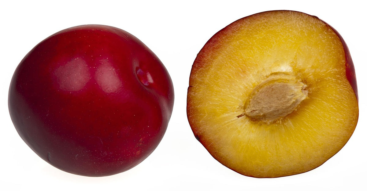 Alderman plum shown whole and cut open to reveal the amber flesh and pit