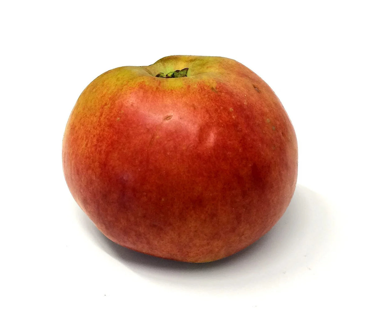 A ripe Alexander apple with red blush over yellow skin