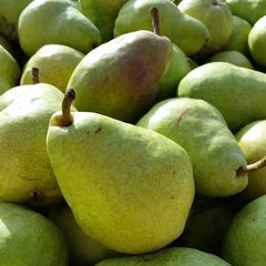 Pears