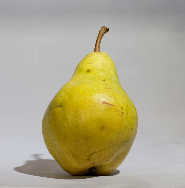 Bartlett Pear (Spring 2027)