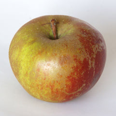 Apples