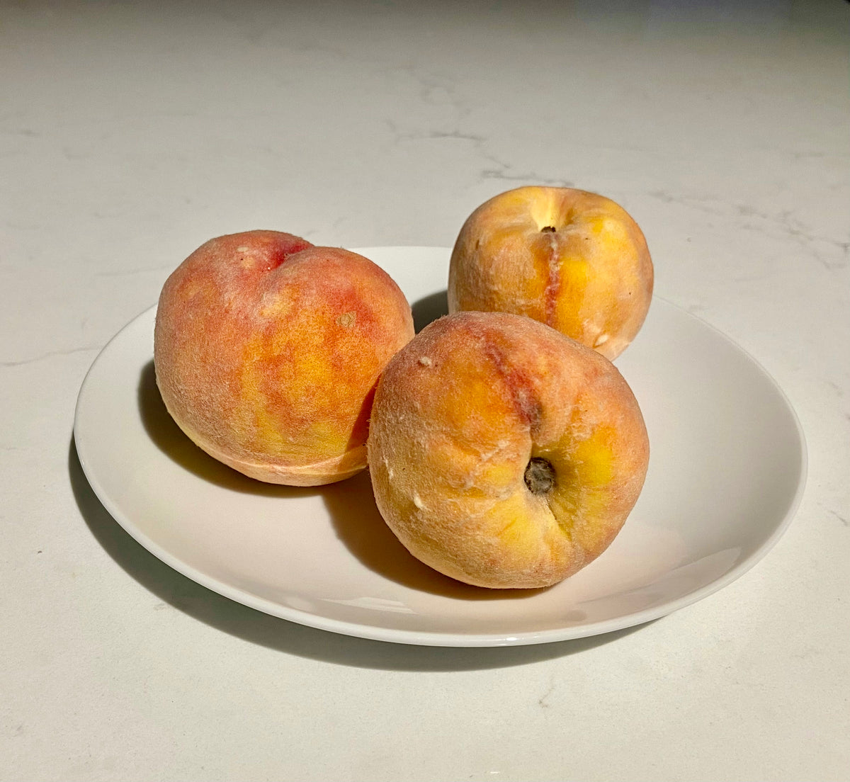 Bill's Nectar peachcots on a plate