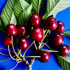 Cherries