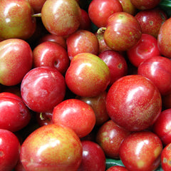 Plums