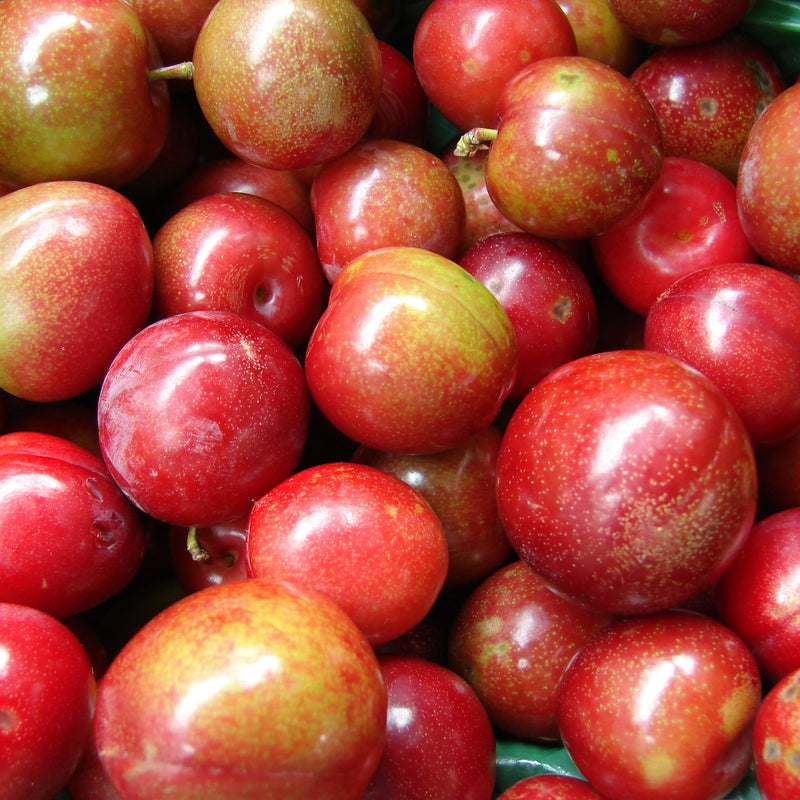 Plums