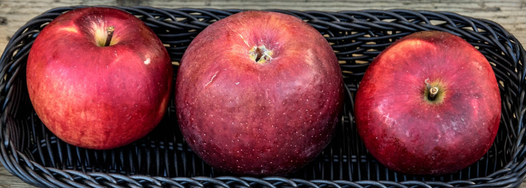 Three dark red Burgundy apples in a basket