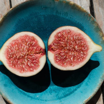 Unusual Fruit