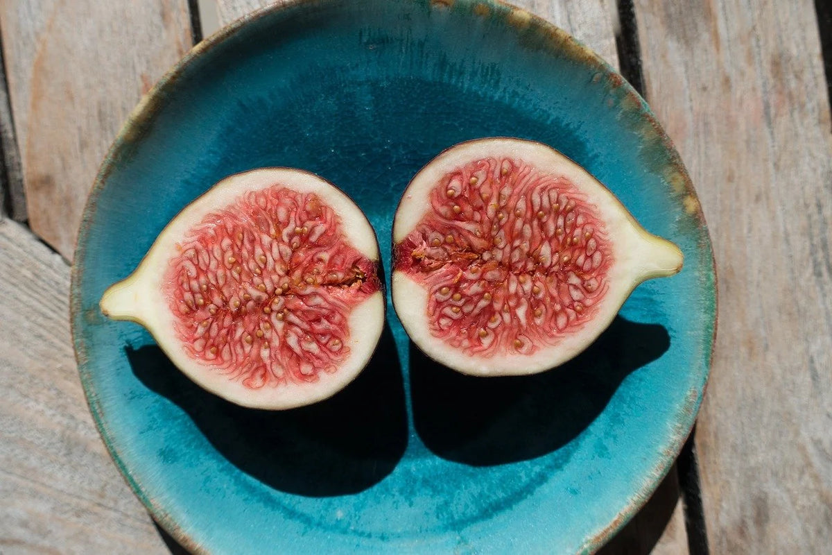 Chicago Hardy figs halved on a plate