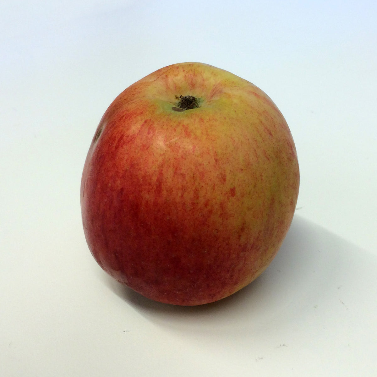 A single Cortland apple on a white background