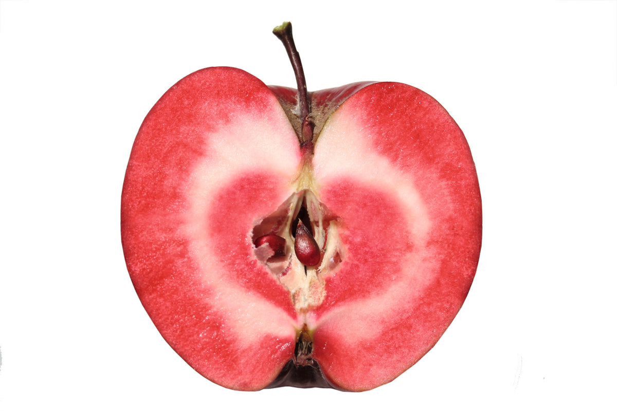 Representative photo of a red-fleshed apple cut in half, not Dolores River Sorbet itself