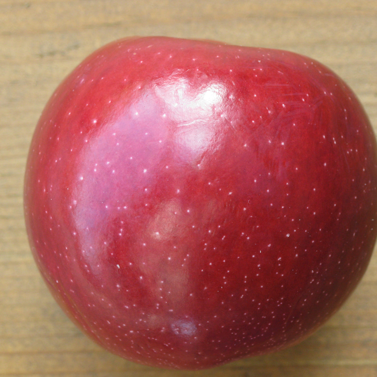 Empire Apple (Spring 2027)