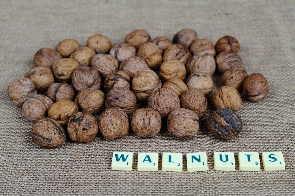 A handful of cured English walnuts in the shell