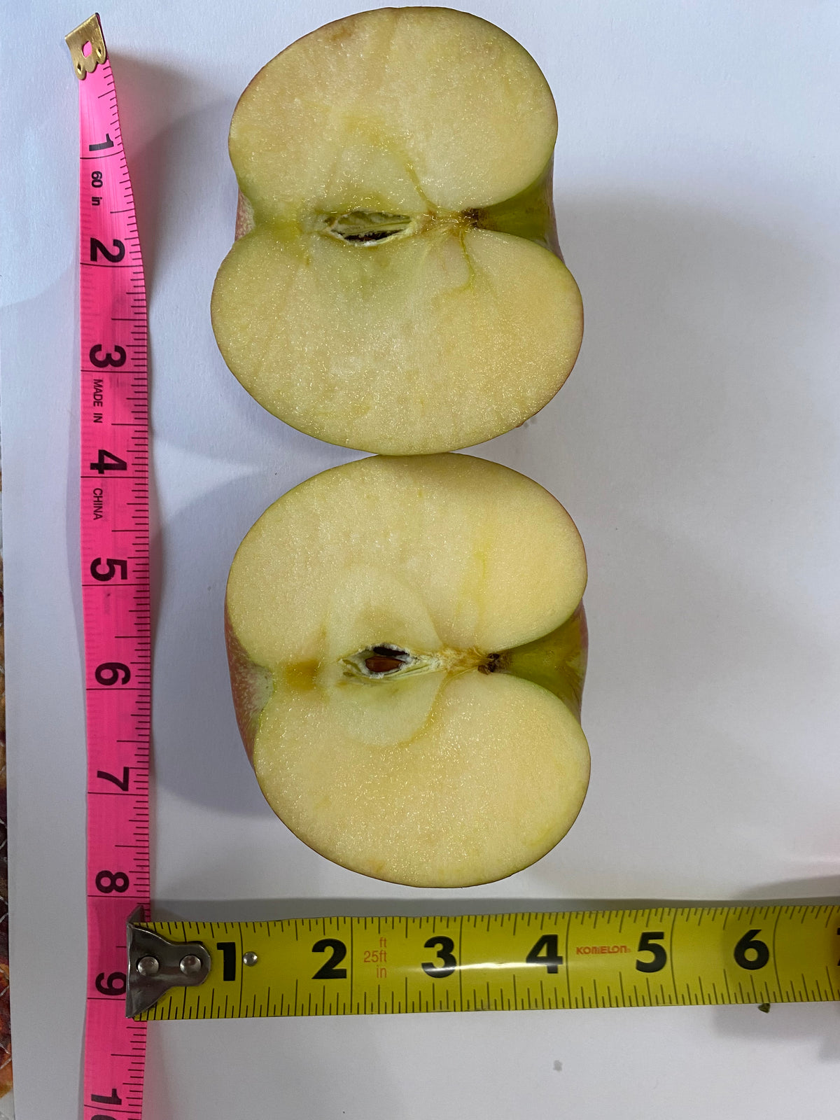 An EverCrisp apple cut in half showing the cream-colored flesh