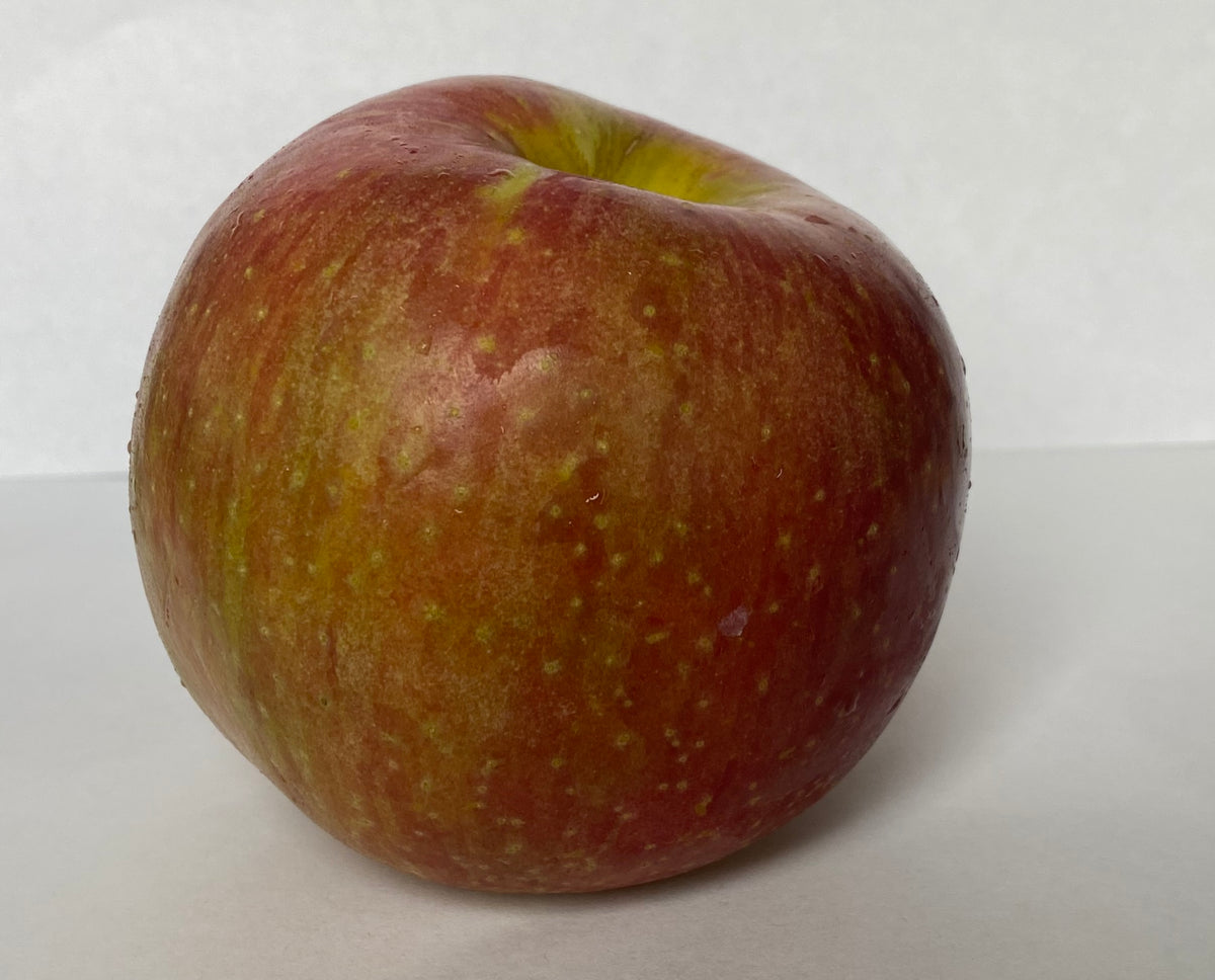A ripe EverCrisp apple