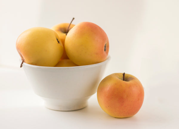 Colorado Orange Apple (Spring 2027)