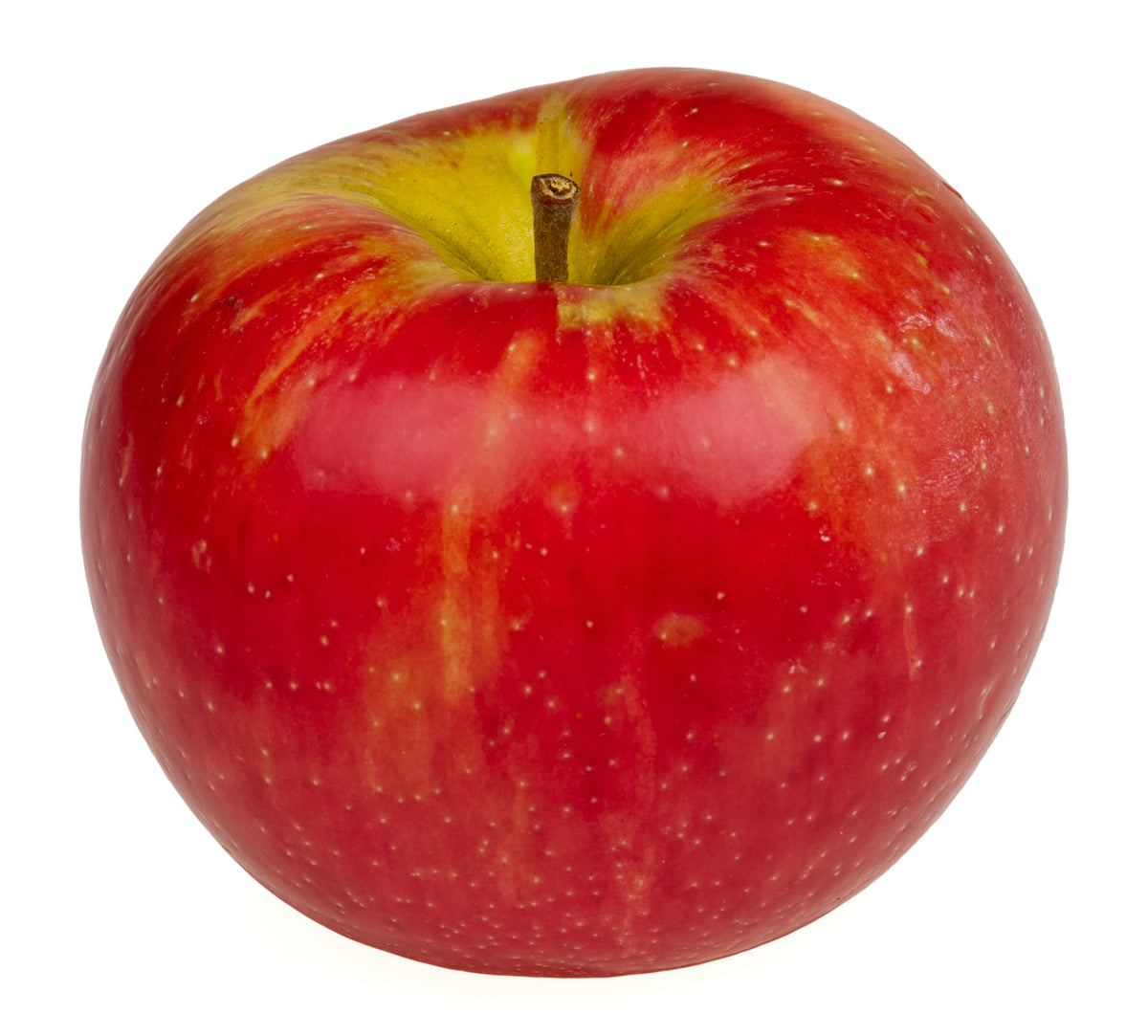 A single Honeycrisp apple