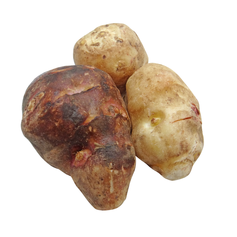 Jeruselam Artichoke (10 Tubers)