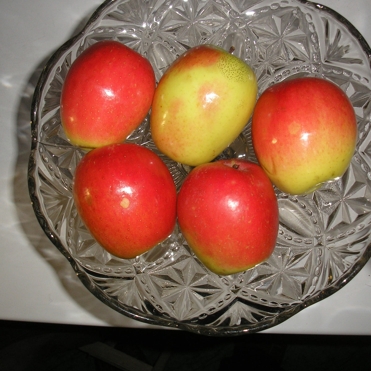 Kandil Sinap Apple (Spring 2027)
