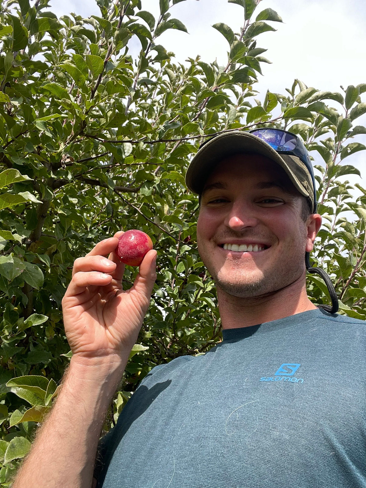 Holding a freshly picked Kerr crab seedling apple in the orchard