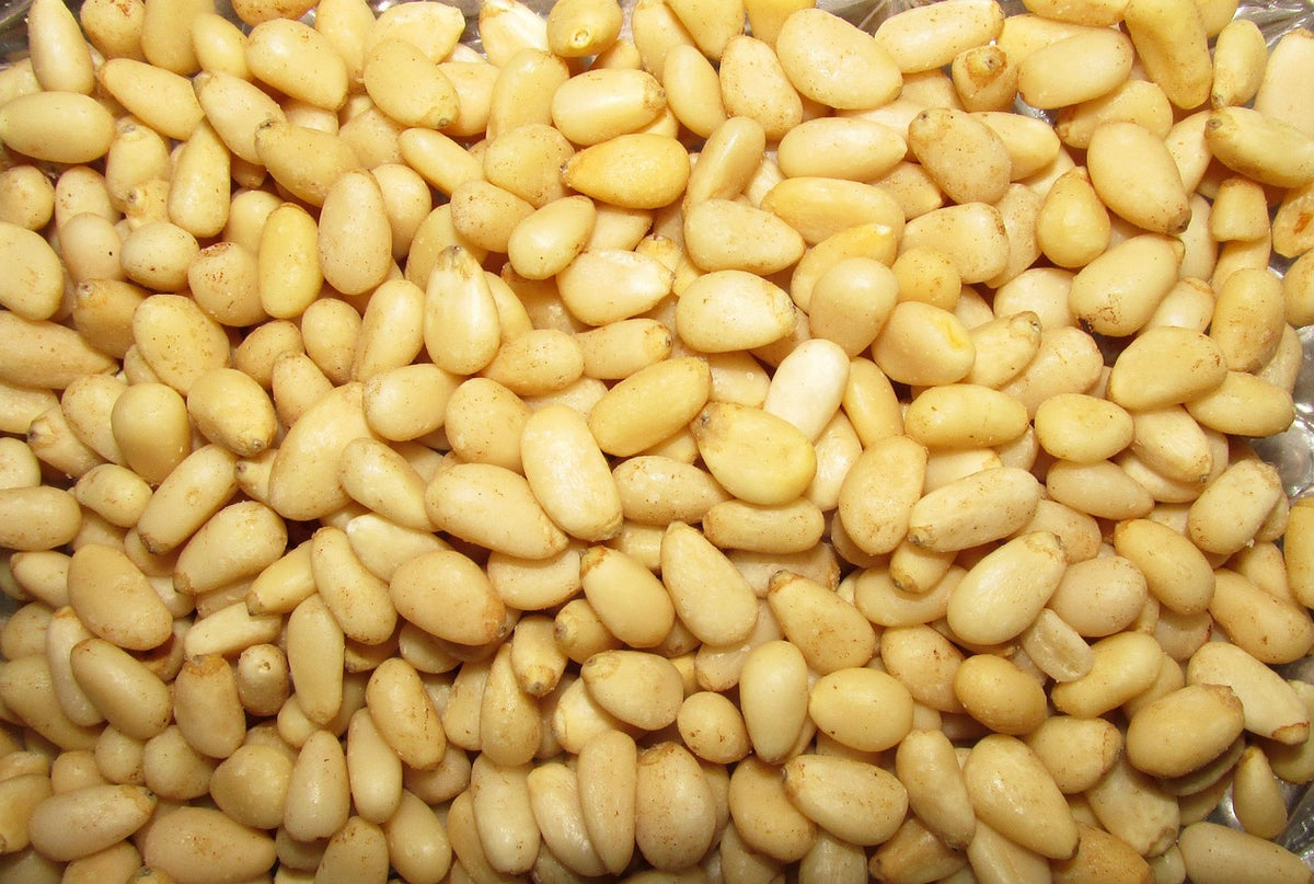 Shelled Korean stone pine nuts