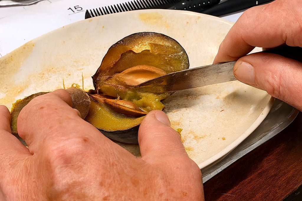 Slicing a Longjohn plum on a cutting board