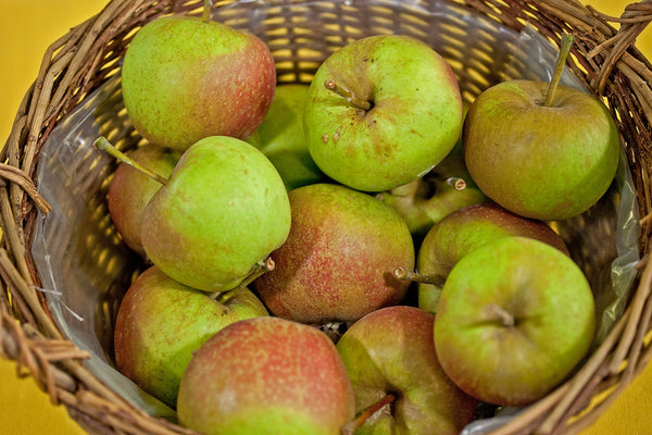 Margil Apple (Spring 2027)