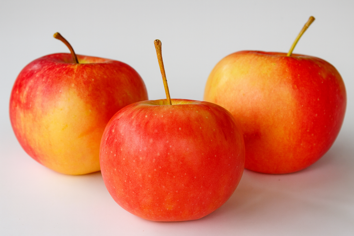 Martha applecrabs showing their red-over-yellow skin