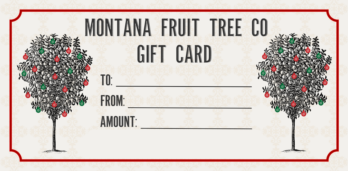 Montana Fruit Trees gift card