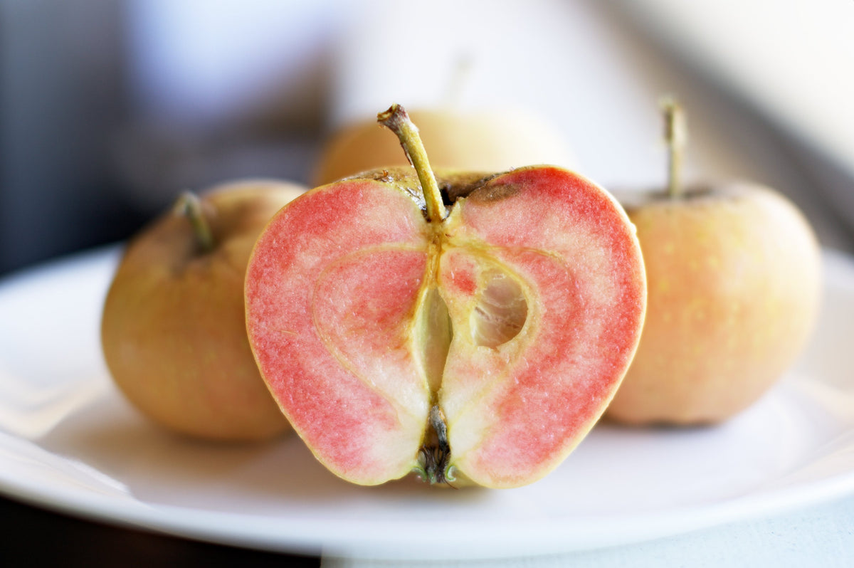 A Pink Pearl apple cut open to show its pink flesh, the parent of Pink Princess