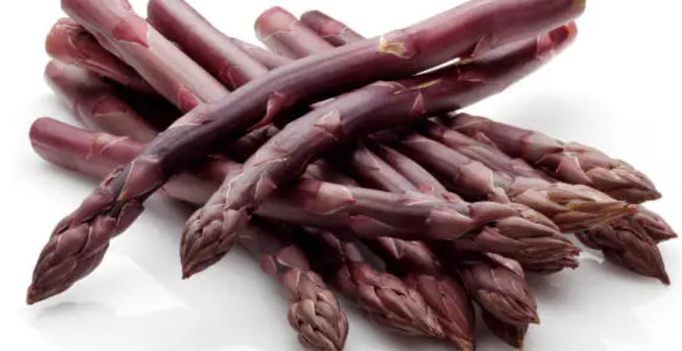 A bundle of harvested purple asparagus spears