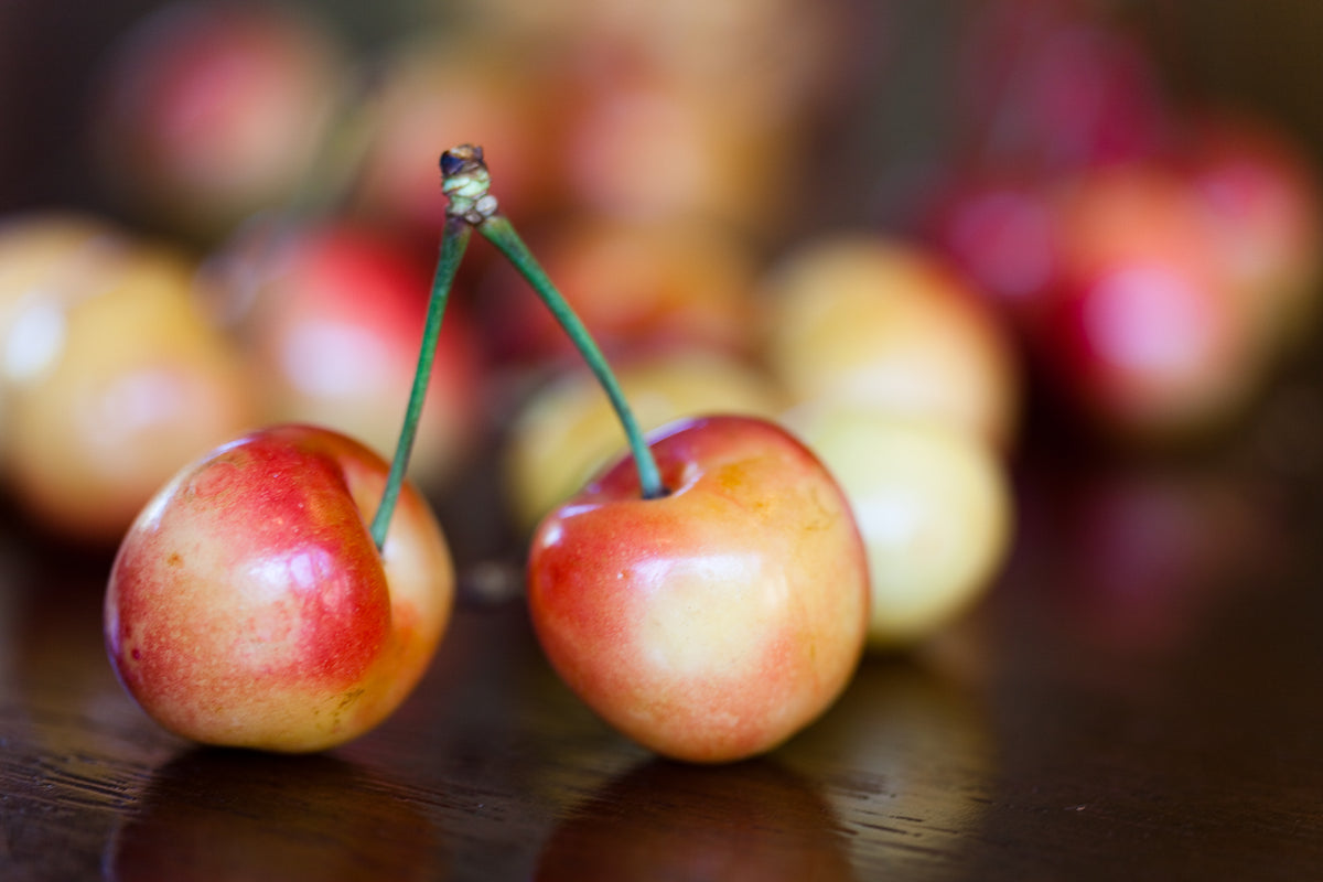 Ripe Rainier sweet cherries