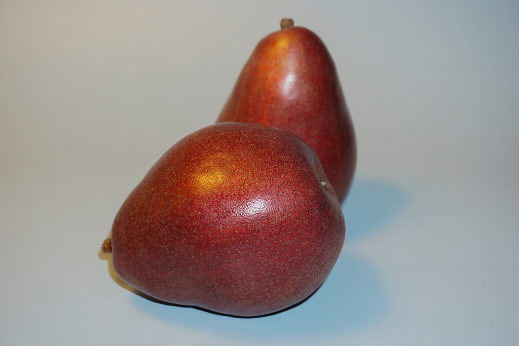 Two ripe Red d'Anjou pears