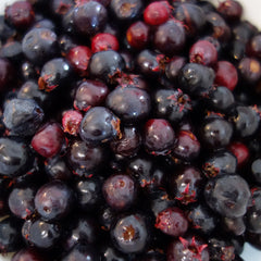 Success Serviceberry (Bundle of 2)